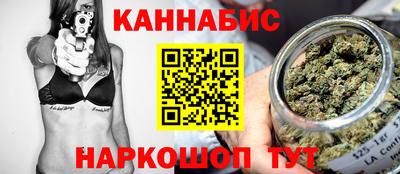 индика Кулебаки