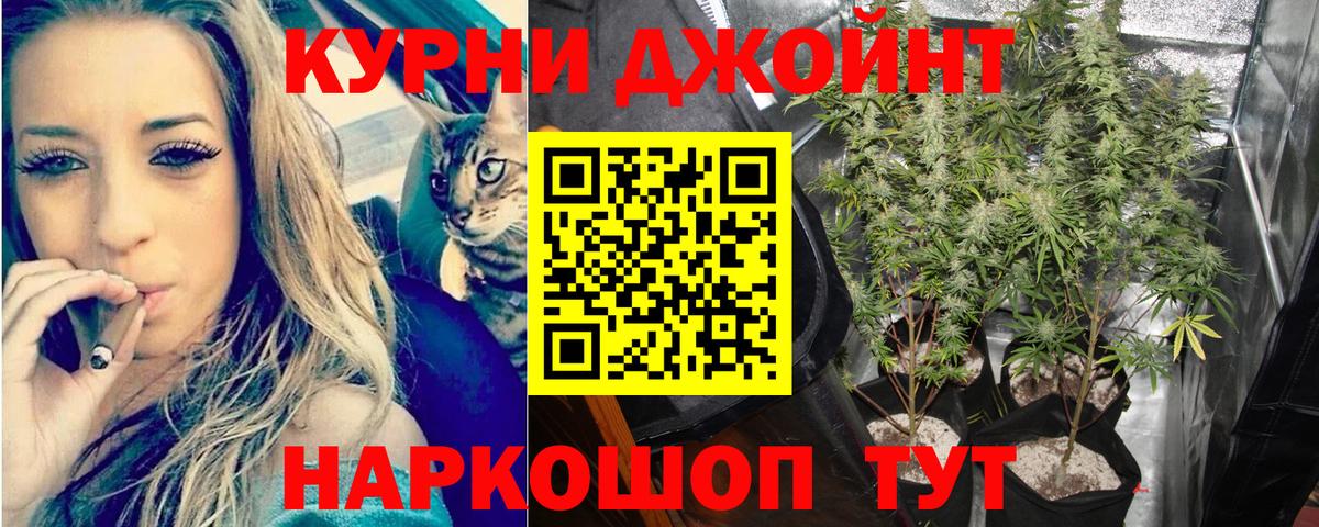 Бошки Шишки конопля  Вход с VPN  МАРИХУАНА THC 21%  Бошки Шишки Bruce Banner  Зеленогорск  Шишки марихуана THC 21% 